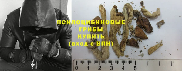 а пвп мука Верея