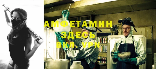 сатива Вязьма