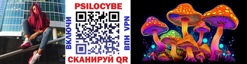 blacksprut онион  где продают наркотики  Зверево  Псилоцибиновые грибы Magic Shrooms 